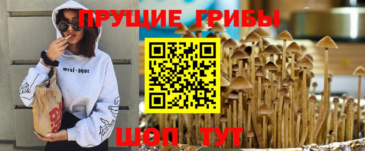 Галлюциногенные грибы GOLDEN TEACHER Санкт-Петербург