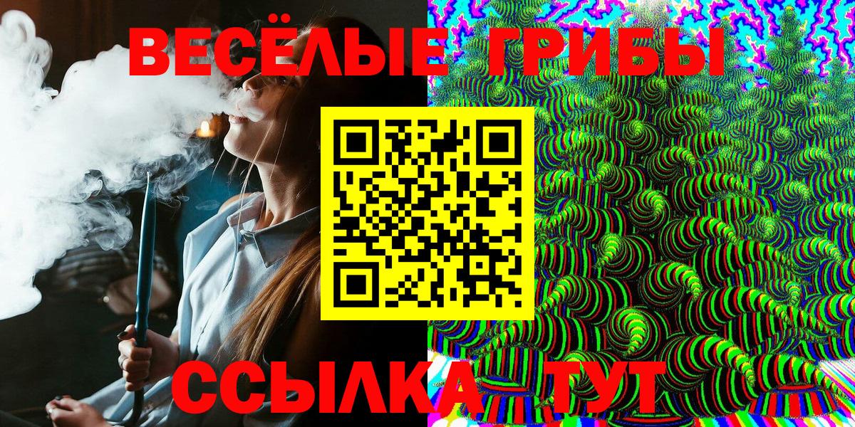 Санкт-Петербург  Галлюциногенные грибы GOLDEN TEACHER  что такое   Вход с VPN 